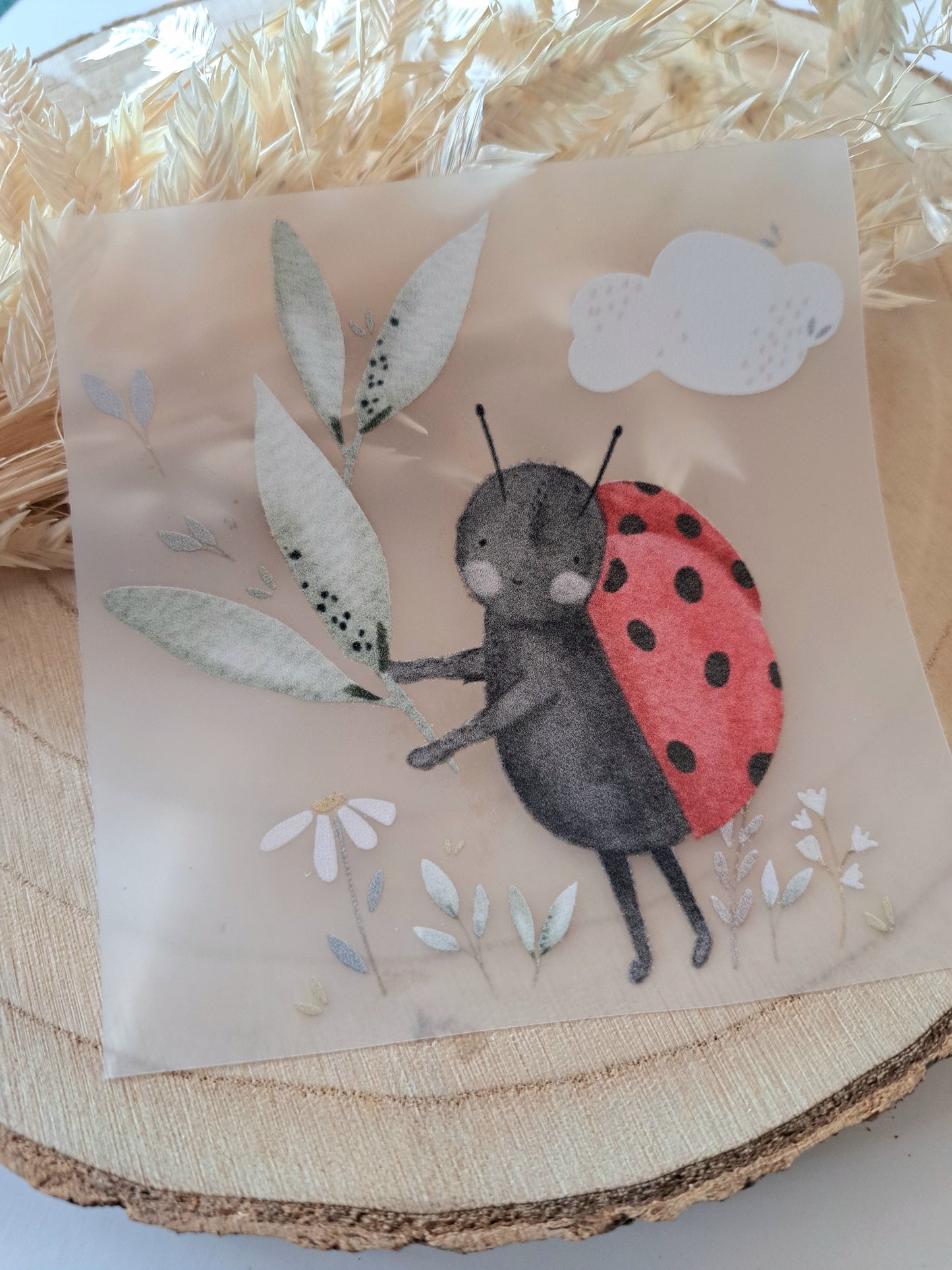 Bügelbild Marienkäfer