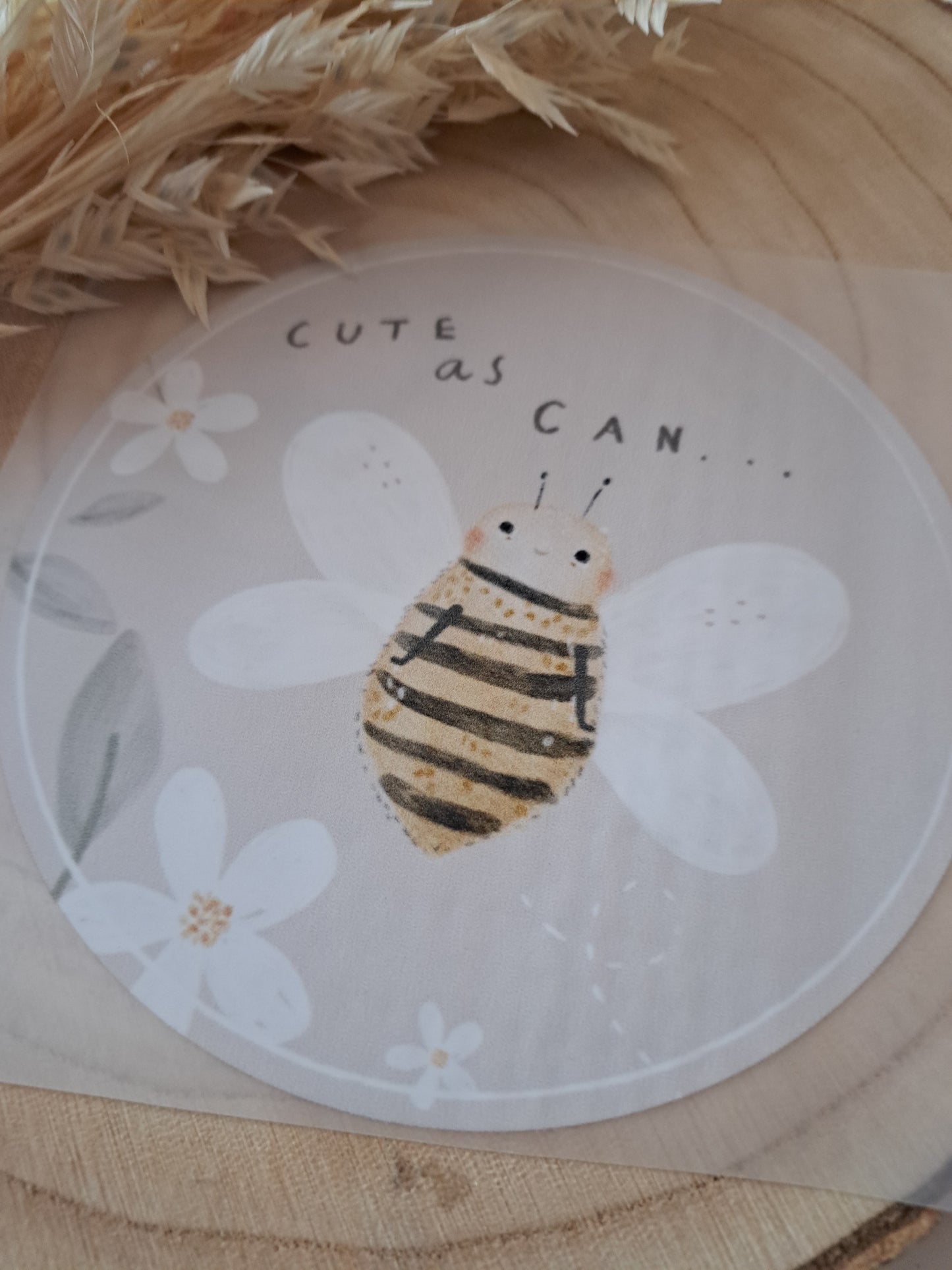 Bügelbild Cute As Can Bee